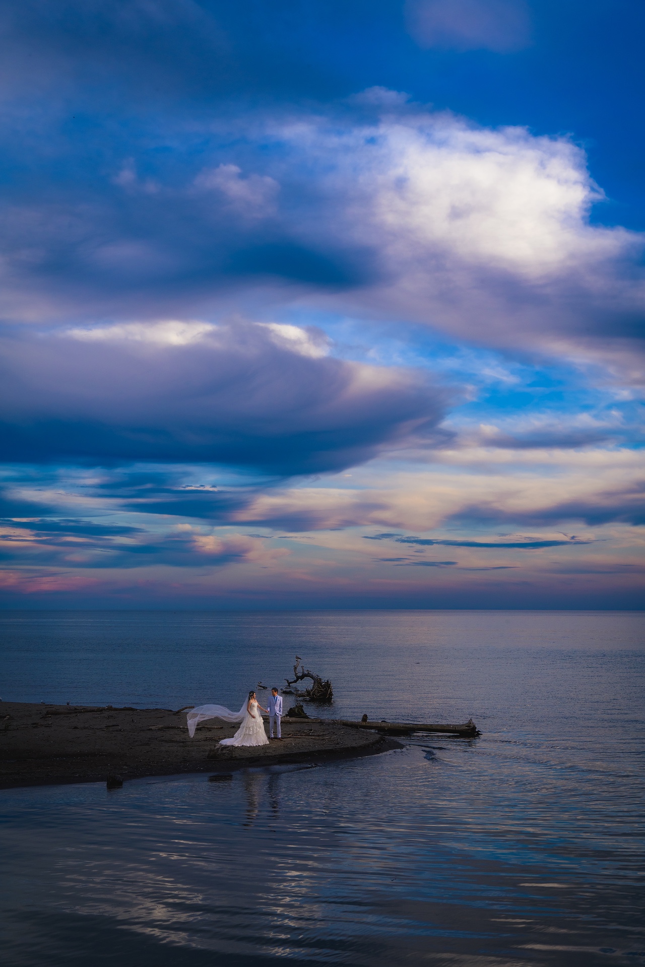 _DSC6693.jpg_compressed